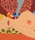 Wesselman Image 01